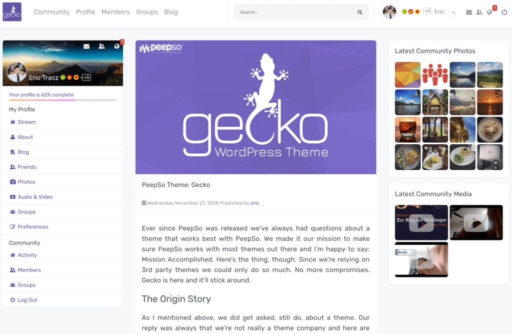 blogpost_view_gecko_by_peepso_WordPress_theme
